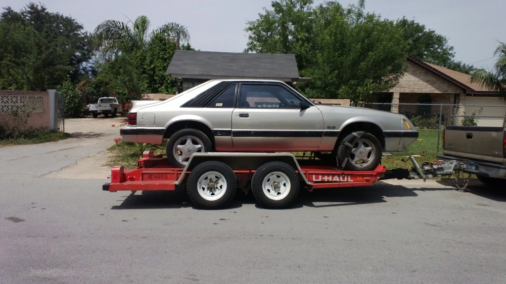 Taking her home.webp