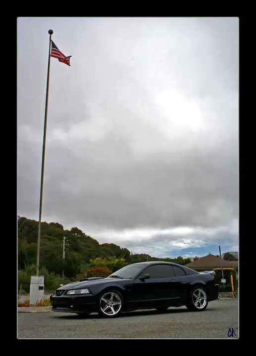 TallFlag1.webp