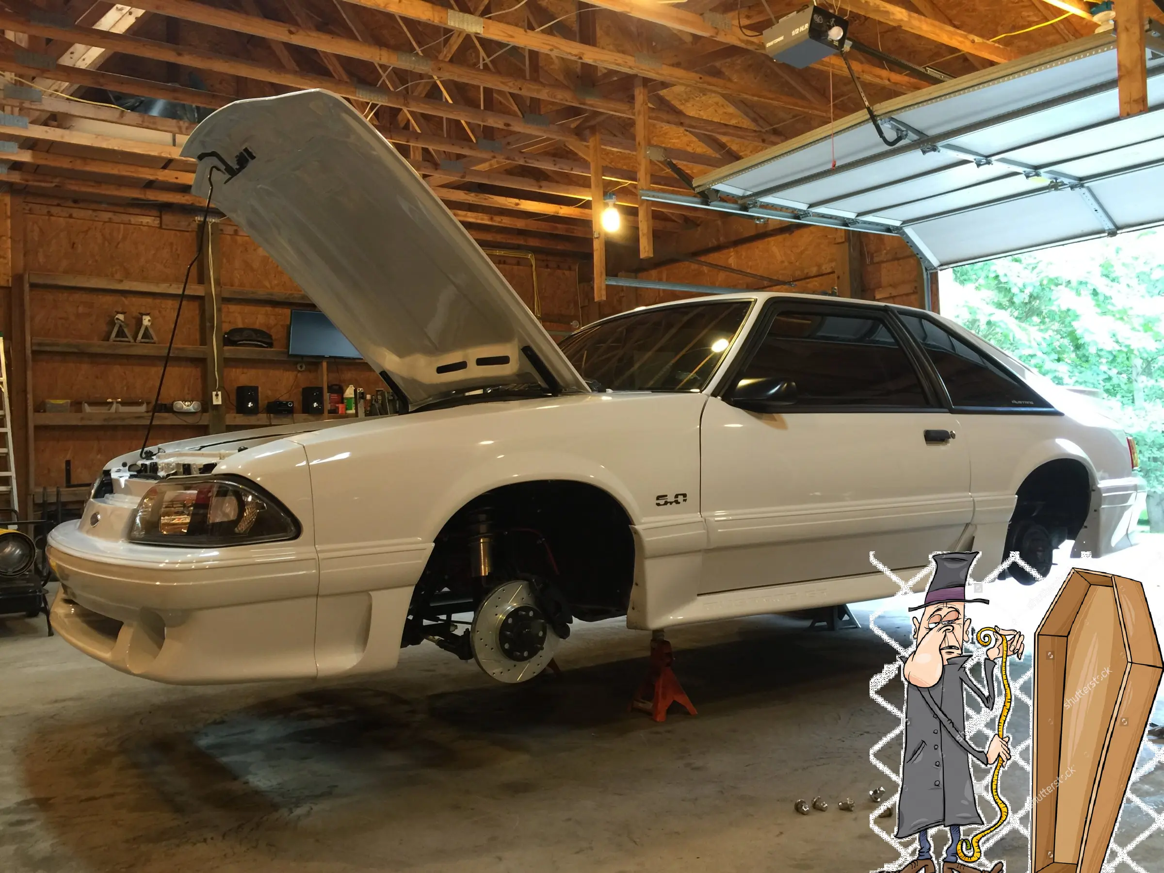 Tanner91.webp