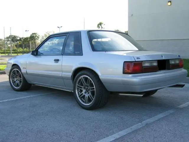 target_0081.webp