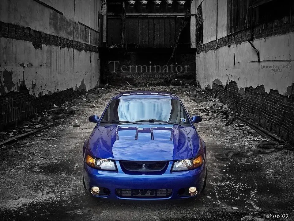 terminator3.webp