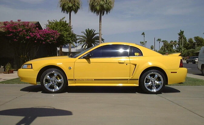 Terry99V6.webp