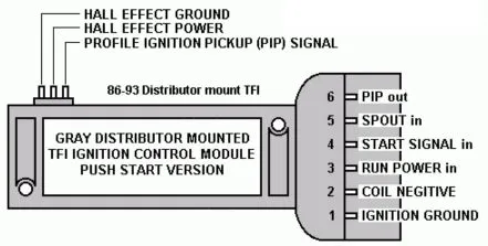 tfi.webp
