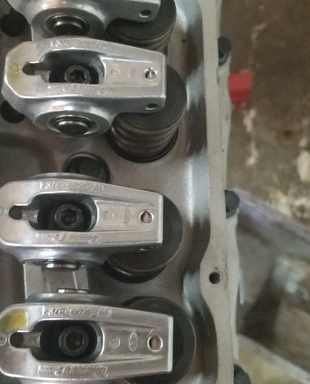 TFS TW heads close 2.webp