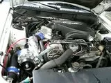 th_019.webp