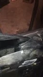 th_0624F581-4278-4367-82C4-846D9358A096_1.mp4.webp