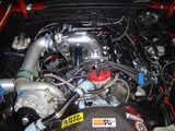 th_1.webp