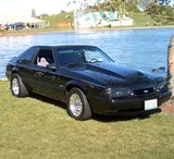 th_11_edited.webp