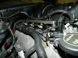 th_DSCN0359.webp