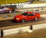 th_MOV00008-1.webp