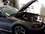 th_MOV00107.webp