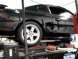 th_MOV00293.webp