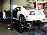 th_MOV01768.webp