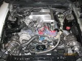 th_mustang001-1.webp