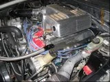 th_mustang007-1.webp