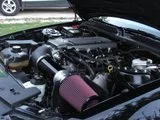 th_mustangandfocus003-1.webp