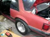 th_MVI_0397.webp