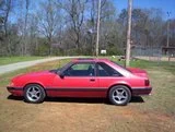 th_Picture022.webp