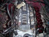 th_Picture0452_2.webp
