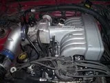 th_Picture0462.webp