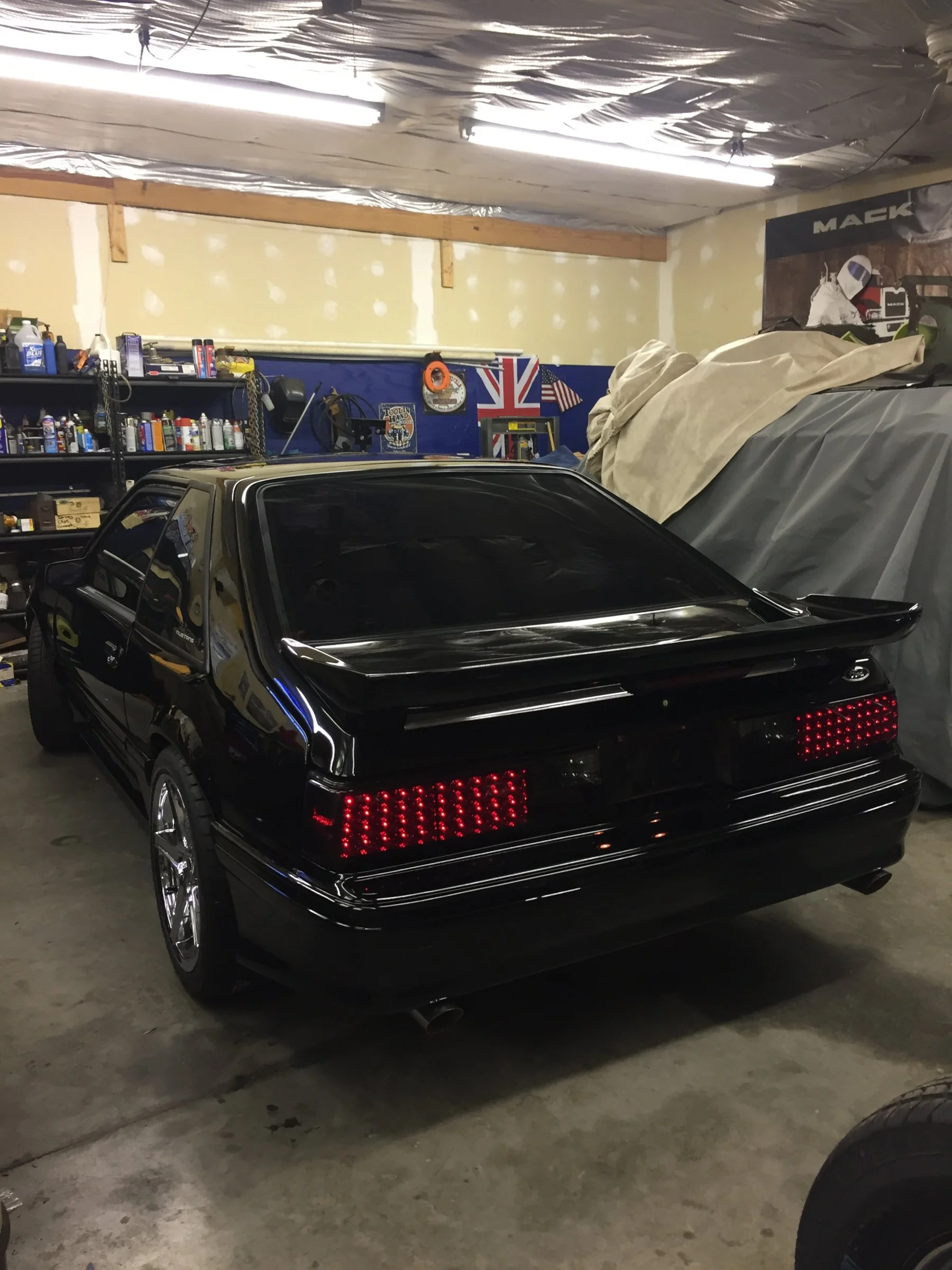that bump tho.... mustang.webp