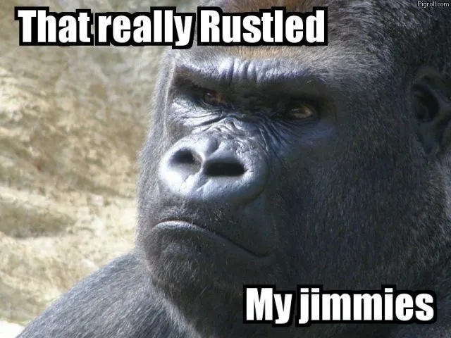 that_really_rustled_my_jimmies.webp