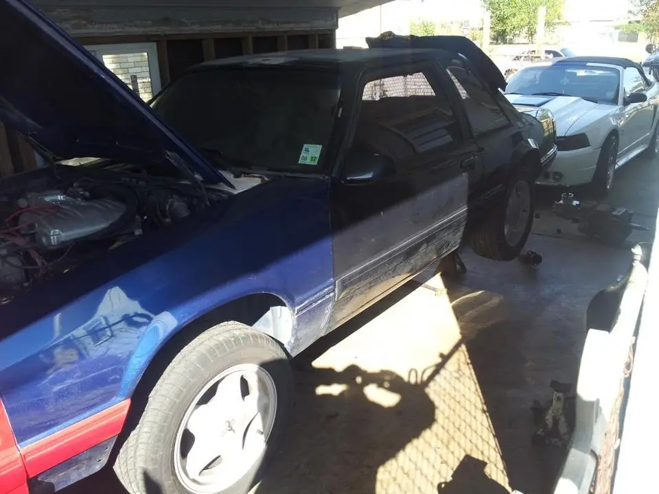 TheMustang2.webp