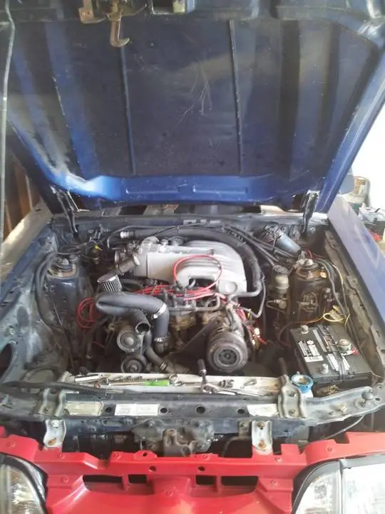 TheMustang7.webp