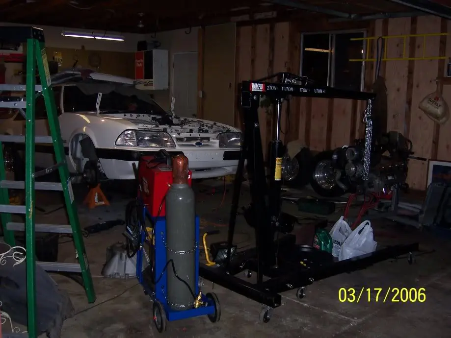 theshop1.webp