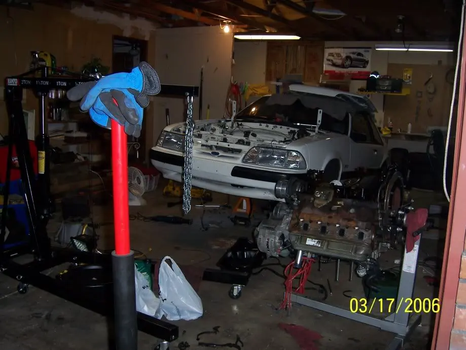 theshop3.webp