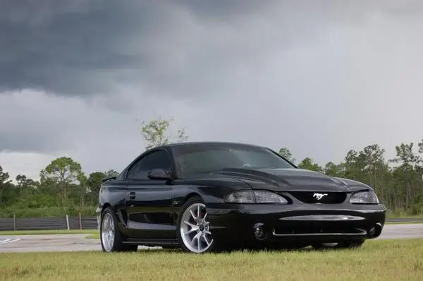 thestang.webp