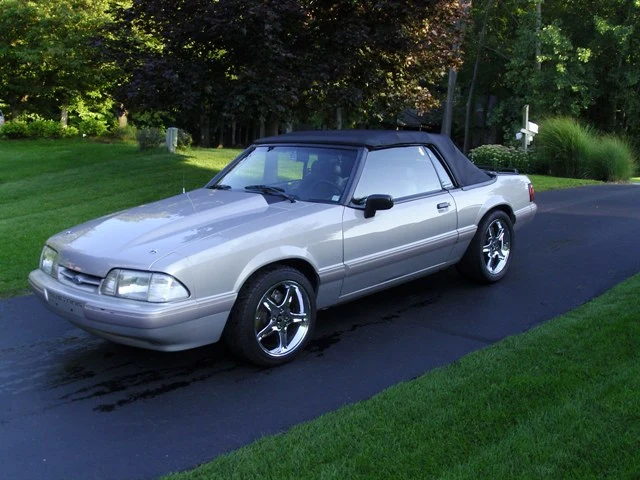 TheStang0.webp