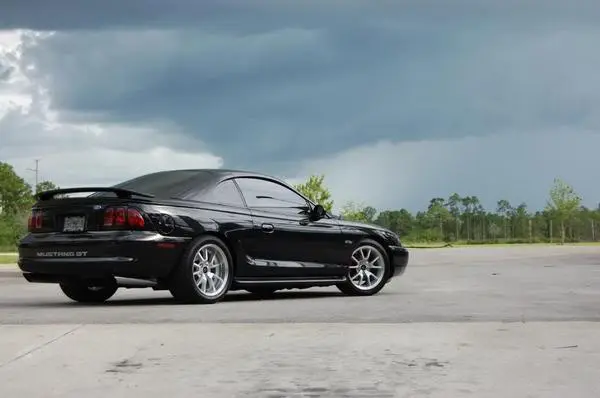 thestang3.webp