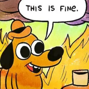 This-is-Fine-300x300.webp