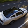 thumbs_13must_gt_calspl_04041.webp