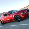 thumbs_2013-shelby-super-snake-5.webp