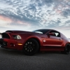thumbs_2013-shelby-super-snake-9.webp