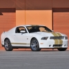 thumbs_shelby-50-mustang-8.jpg