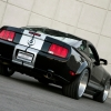 thumbs_shelby-wide-body-1.webp