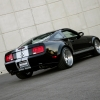 thumbs_shelby-wide-body-2.webp