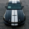 thumbs_shelby-wide-body-3.webp
