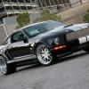 thumbs_shelby-wide-body-4.webp