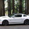 thumbs_sv1_44431.webp