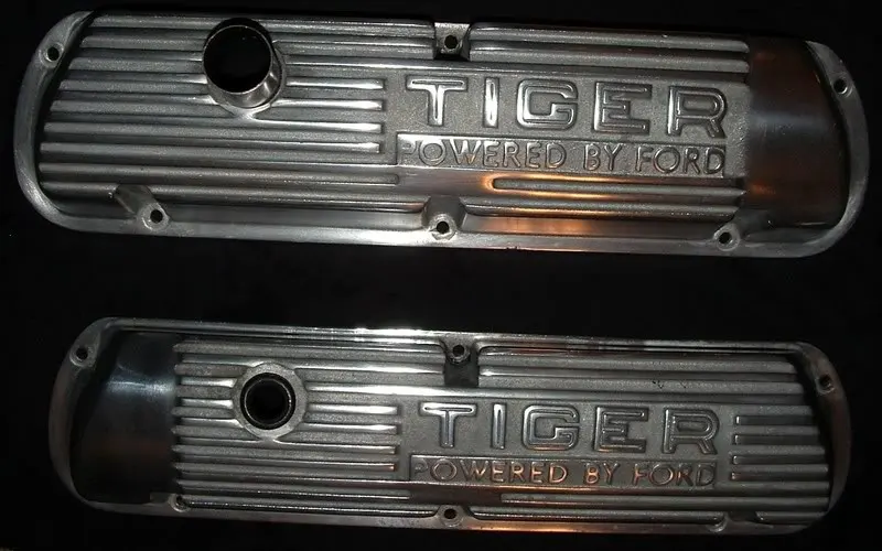 tigercover.webp