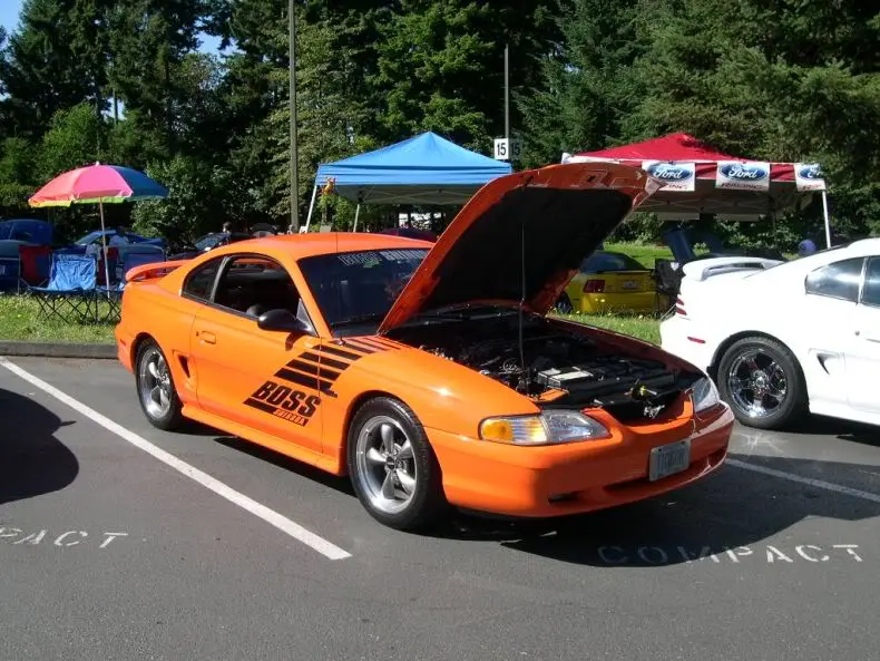 Tigger-2.webp