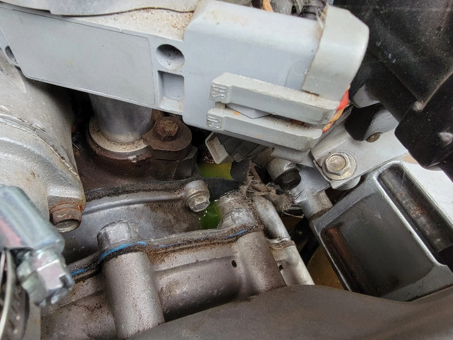 Timing Chain Cover.webp