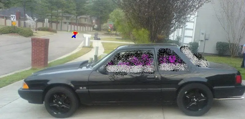 tint.webp