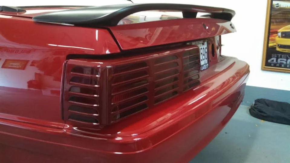 tinted tails.webp