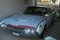 tn_2007_alex_62_Tbird_072907_007.webp