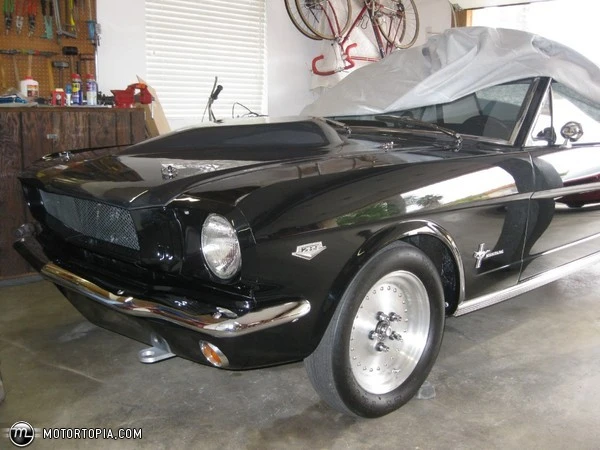 tn_full_IMG_0573JPG_Thumbnail1.webp